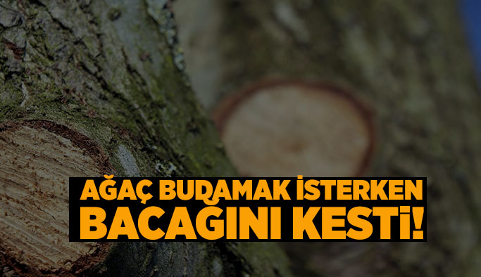 Ağaç budamak isterken bacağını kesen vatandaş hayatını kaybetti