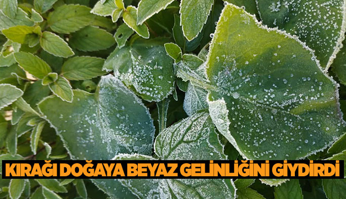 Eskişehir’de kırağı doğaya beyaz gelinliğini giydirdi