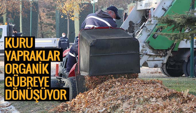 Büyükşehir Belediyesi, kuru yaprakları organik gübreye dönüştürüyor