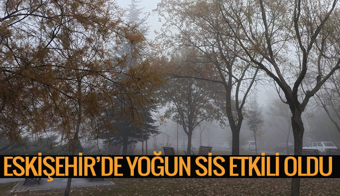 Eskişehir’in yüksek kesimlerinde sis etkili oldu