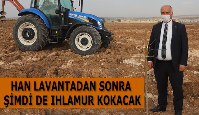 HAN LAVANTADAN SONRA ŞİMDİ DE IHLAMUR KOKACAK