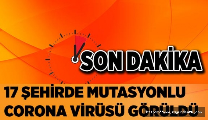 17 şehirde mutasyonlu corona virüsü görüldü