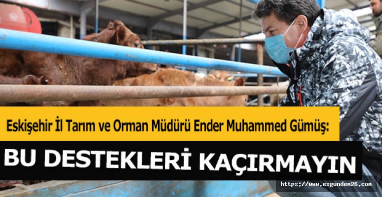 'Bu destekleri kaçırmayın' çağrısı