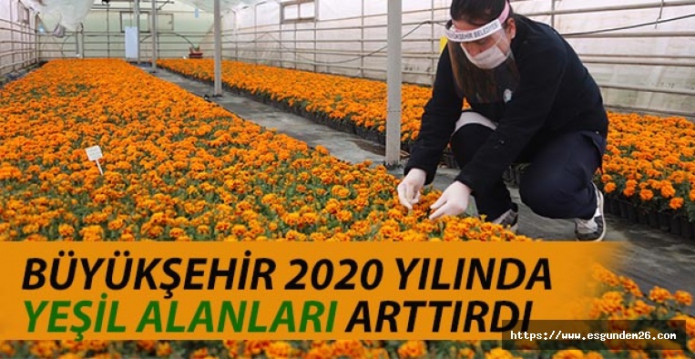 BÜYÜKŞEHİR 2020 YILINDA YEŞİL ALANLARI ARTTIRDI