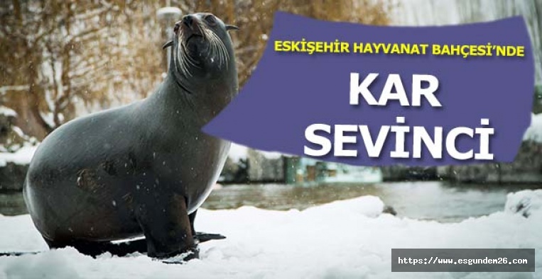 ESKİŞEHİR HAYVANAT BAHÇESİ’NDE KAR SEVİNCİ