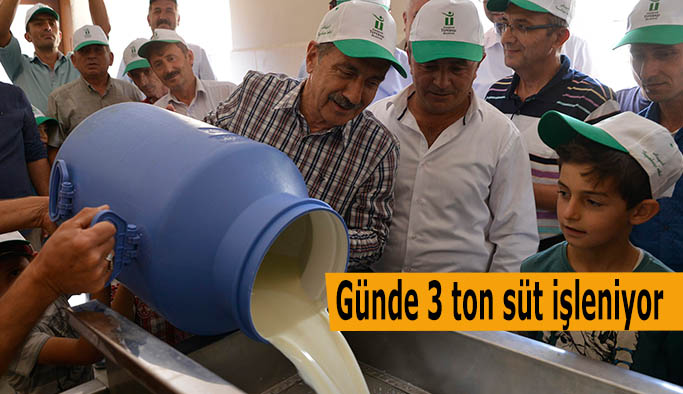 Günde 3 ton süt işleniyor