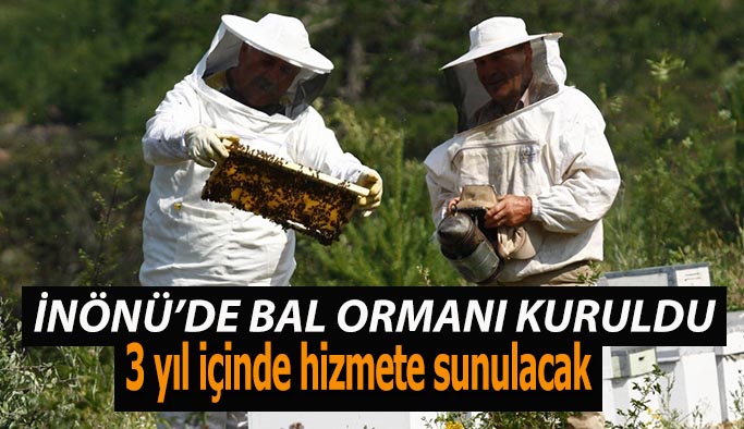 İnönü ormanlarından bal damlayacak