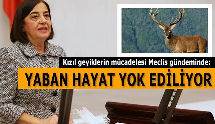 CHP’li Süllü: Gündemde tutmaya devam edeceğim