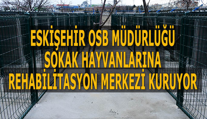 ESKİŞEHİR OSB MÜDÜRLÜĞÜ  SOKAK HAYVANLARINA  REHABİLİTASYON MERKEZİ KURUYOR