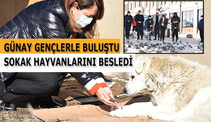 GÜNAY GENÇLERLE BULUŞTU SOKAK HAYVANLARINI BESLEDİ