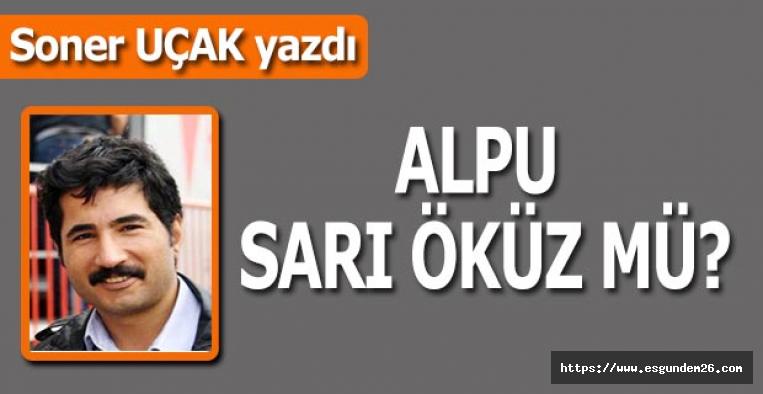 Alpu sarı öküz mü?