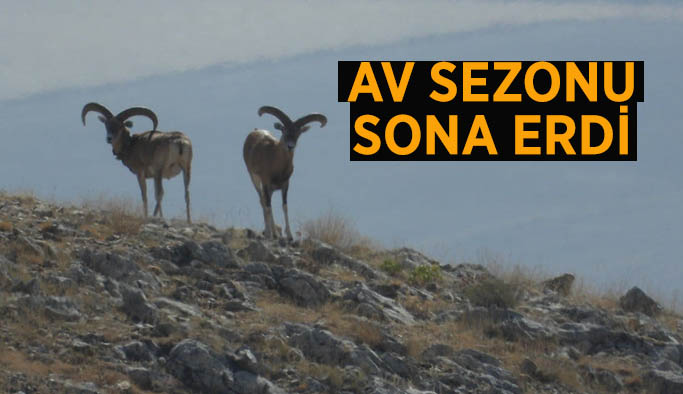 Av sezonu sona erdi