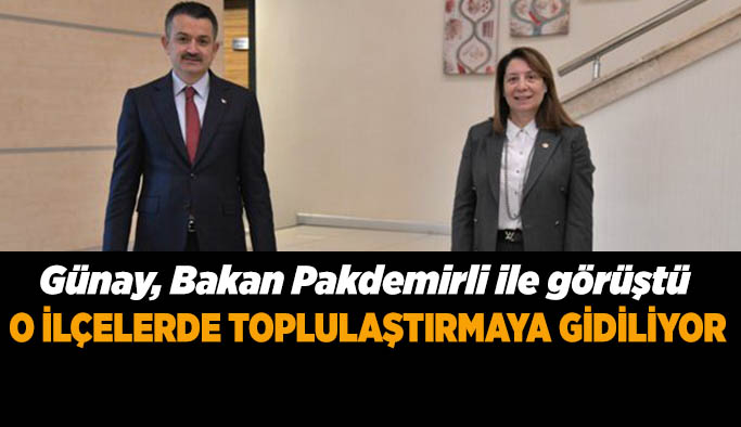 Günay’dan toplulaştırma müjdesi