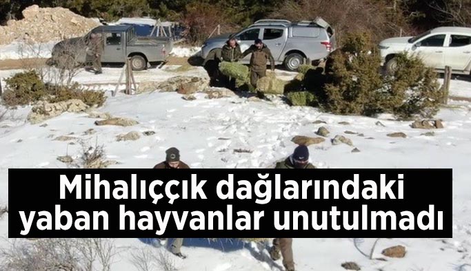 Mihalıççık dağlarındaki yaban hayvanlar unutulmadı