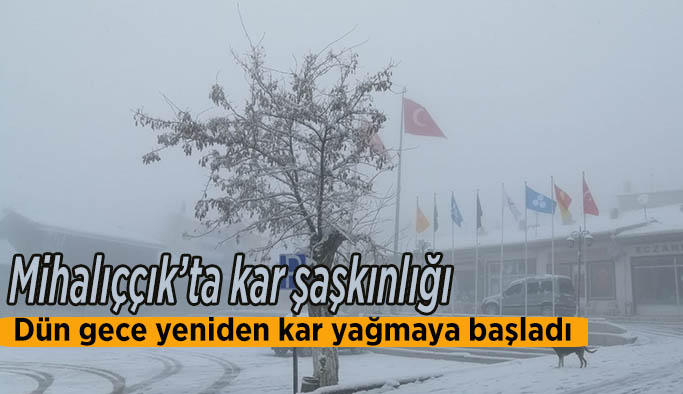 Mihalıççık’ta kar şaşkınlığı