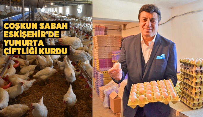 Coşkun Sabah, Eskişehir’de yumurta çiftliği kurdu