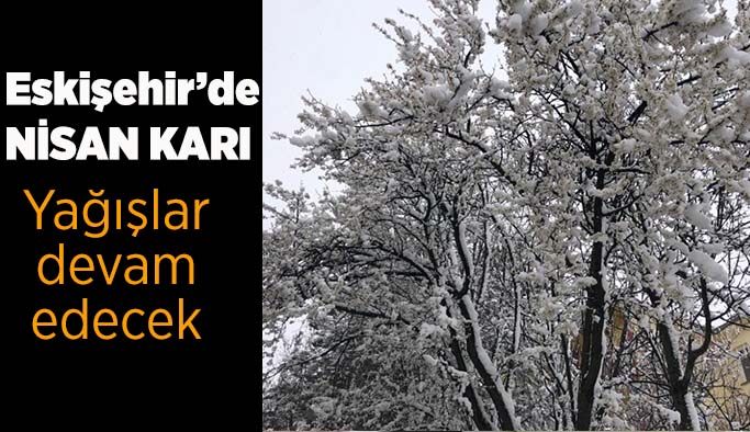 Eskişehir yine beyaz örtü altında
