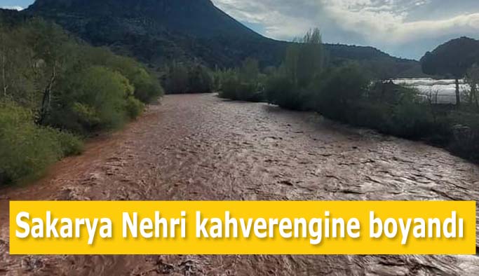 Sakarya Nehri kahverengine boyandı