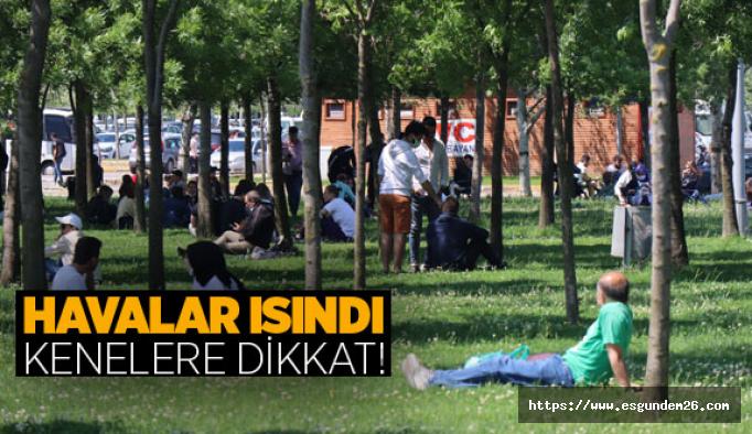 DOĞADA BULUNURKEN KENE POPÜLÂSYONUNA DİKKAT!