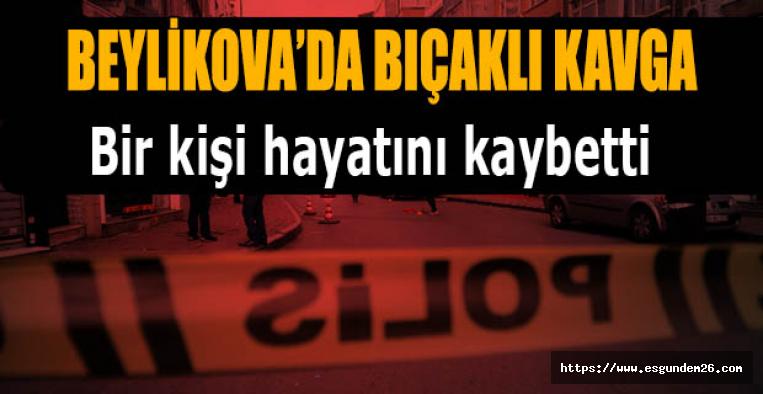 Eskişehir Beylikova'da cinayet