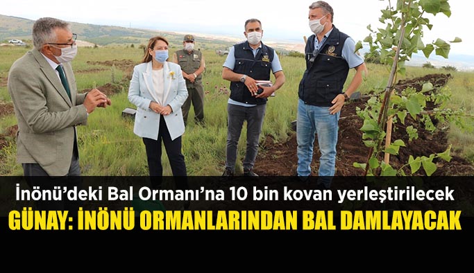 Günay: İnönü ormanlarından bal damlayacak