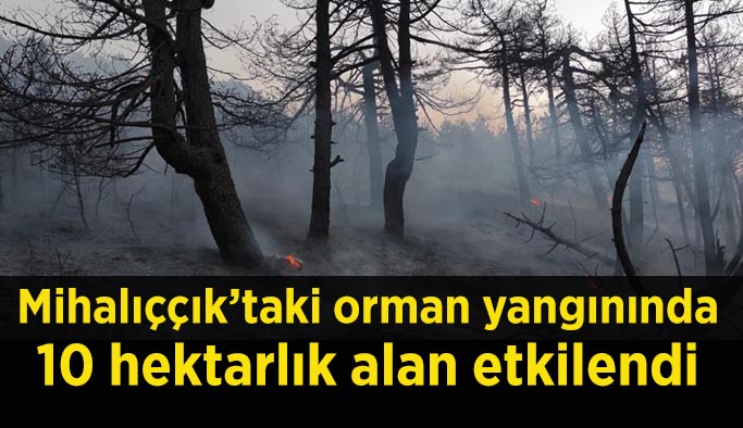 - Mihalıççık’taki orman yangınında soğutma çalışmaları sürüyor