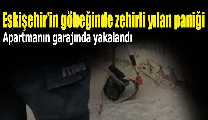 Şehir merkezinde bir garajda zehirli yılan yakalandı