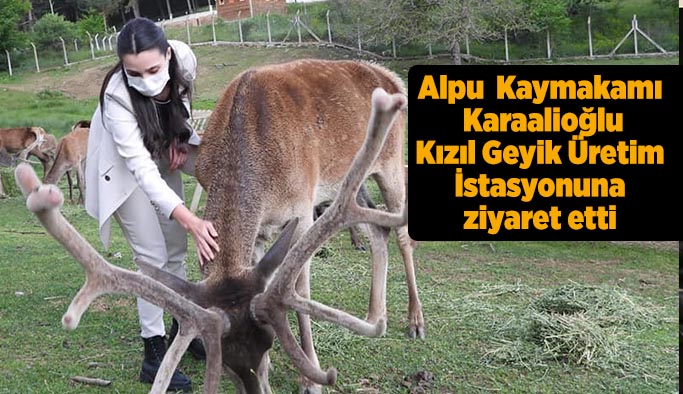 Alpu'dan Kızıl Geyik Üretim İstasyonuna ziyaret