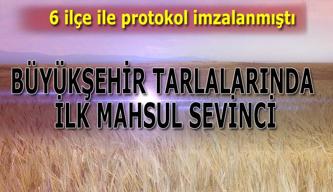 Eskişehir Büyükşehir tarlalarında ilk mahsuller yetişti