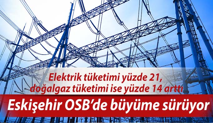 Eskişehir OSB’de 5 ayda 14 yeni yatırımcı