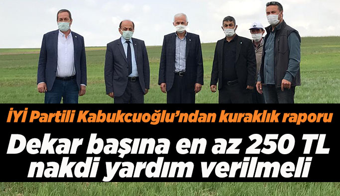Kabukcuoğlu: Tarla ziraatı yapılan 12 ilçenin 9’unu ziyaret ettim.