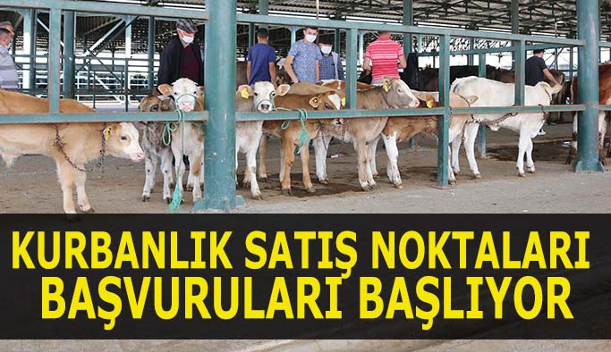 Kurbanlık satış noktaları başvuruları başlıyor