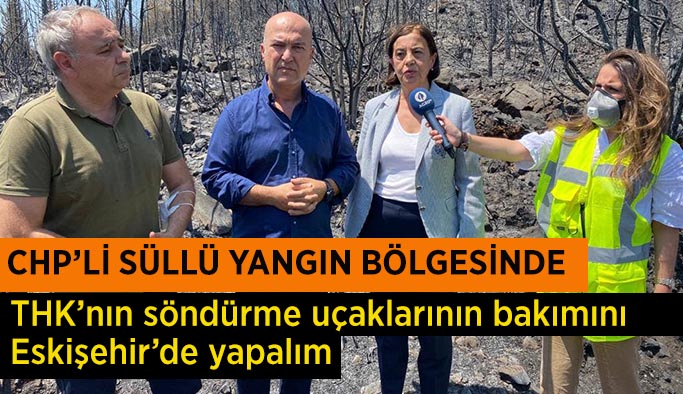 CHP’li Süllü yangın bölgesinde