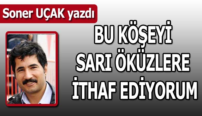 Bu köşeyi sarı öküzlere ithaf ediyorum