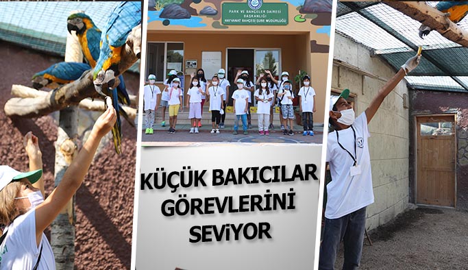 Küçük bakıcılar görevlerini severek yerine getiriyor