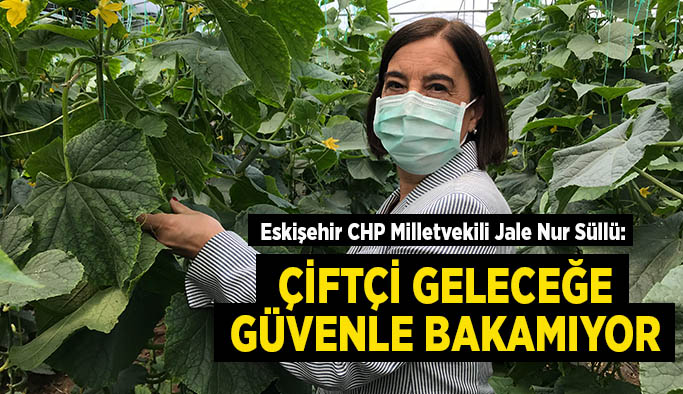 Süllü: Çiftçi geleceğe güvenle bakamıyor