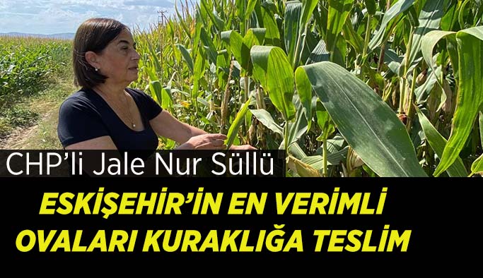 Süllü: Tarımsal üretim, iklim krizi gerçeğiyle yapılmalı