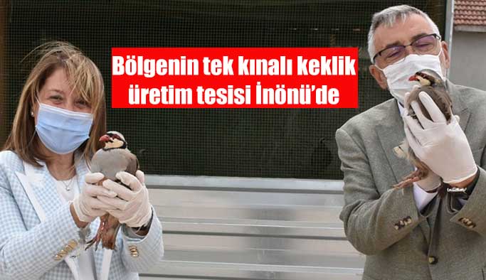 Bölgenin tek kınalı keklik üretim tesisi İnönü’de