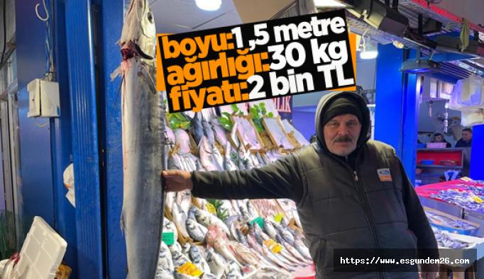 2 bin liraya satılan 1 buçuk metrelik kılıç balığı ilgi çekiyor