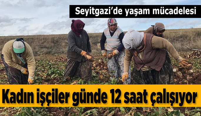 Kadın tarım işçilerinin zorlu mesaisi