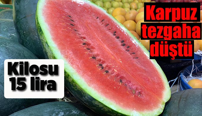 Karpuz tezgahlara düştü