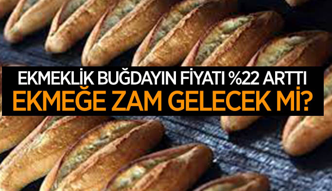 Ekmeklik buğdayın fiyatı %22 arttı