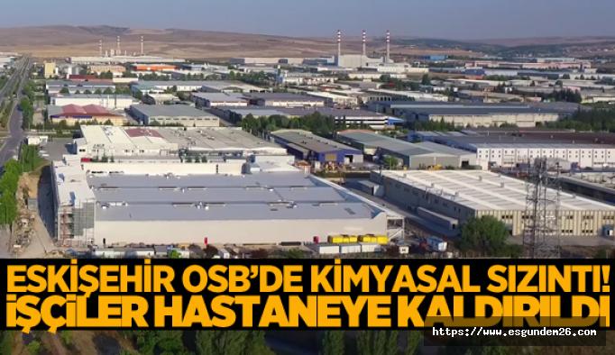 Zehirli gaz onlarca işçiyi zehirledi