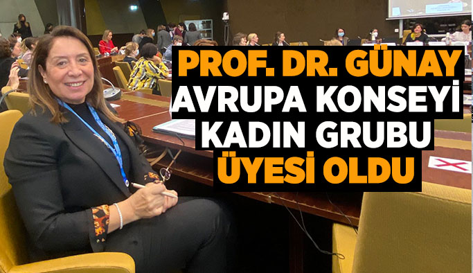 Prof. Dr. Günay  Avrupa konseyi  Kadın Grubu  Üyesi oldu