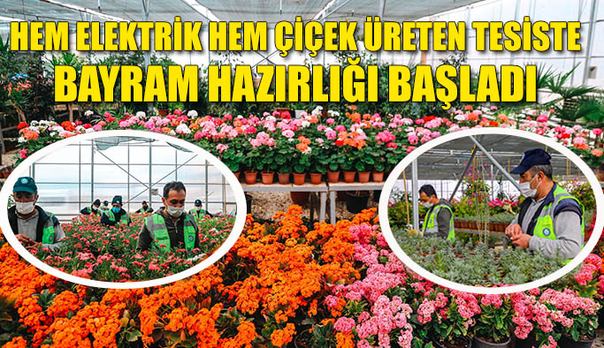 Ramazan Bayramı’nda kabir ziyaretlerini yapan Eskişehirlilere çiçekler bu yıl da ücretsiz olarak dağıtılacak