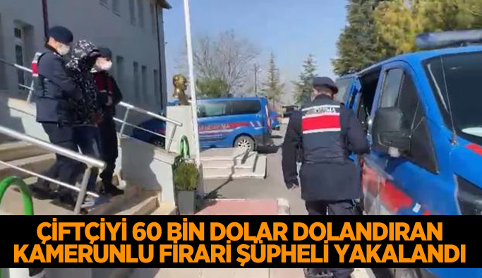 Dolandırıcılık şüphelisi firari Kamerunlu yakalandı