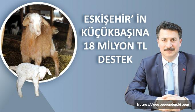 Eskişehir İl Tarım ve Orman Müdürü Ender Muhammed Gümüş: Eskişehir’de  anaç koyun keçi sayısı bir önceki yıla göre yüzde 11 artış göstererek