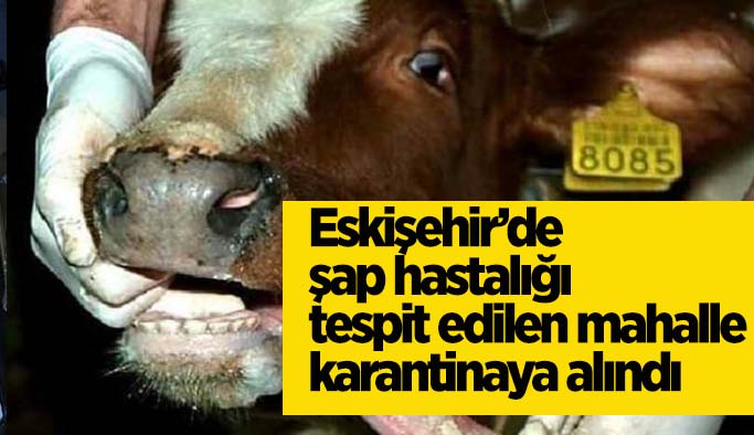 Şap hastalığı tespit edilen mahalle karantinaya alındı