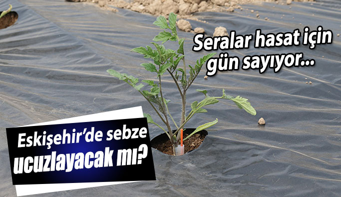 Ucuz sebze için geri sayım başladı