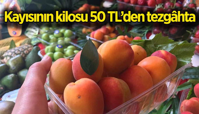 Kayısının kilosu 50 TL’den tezgâhta